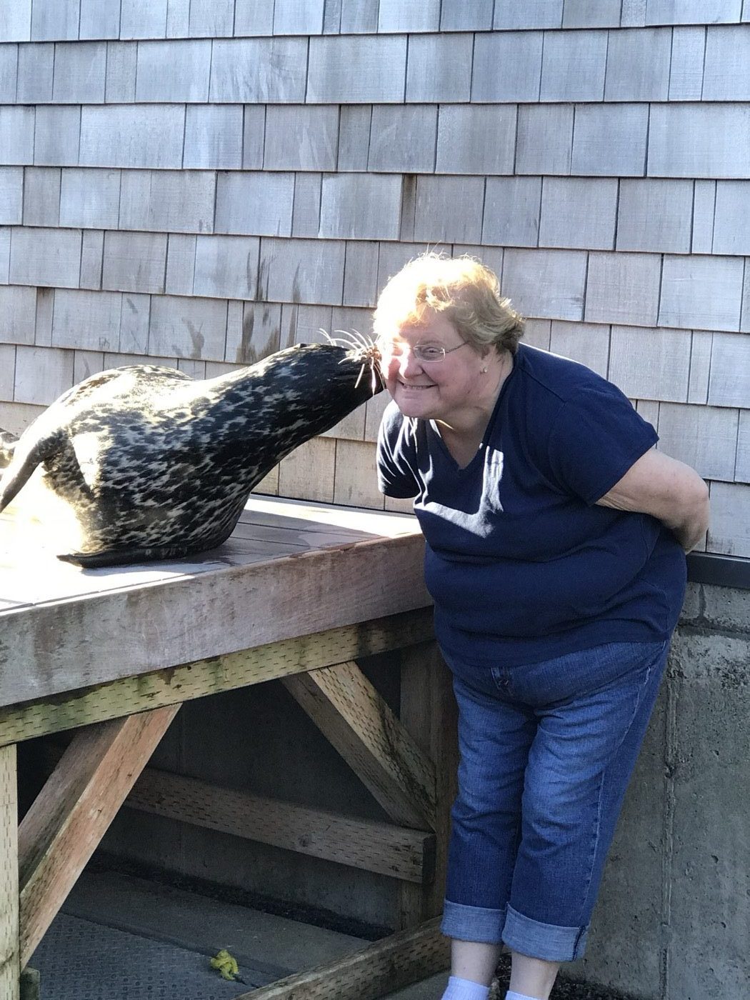 Heather Swaney leaning in beside a harbor seal resting on a wooden platform