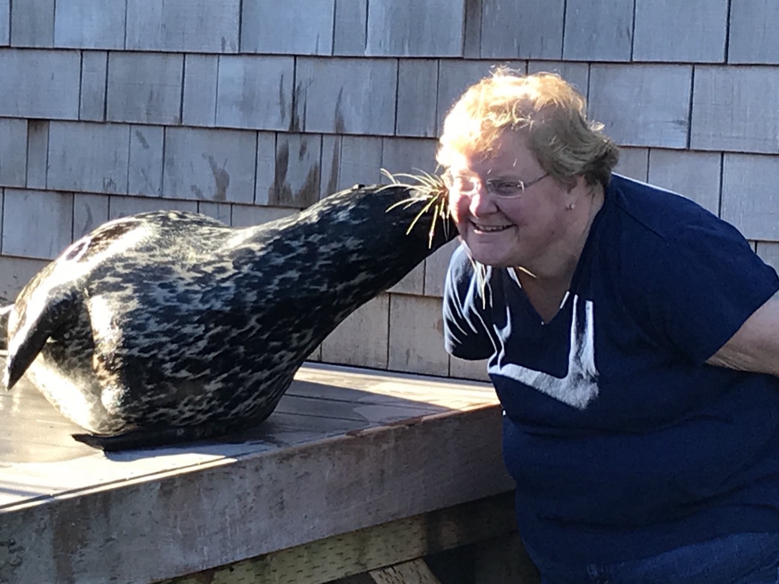 Heather Swaney laughing as a harbor seal touches its whiskers to her cheek