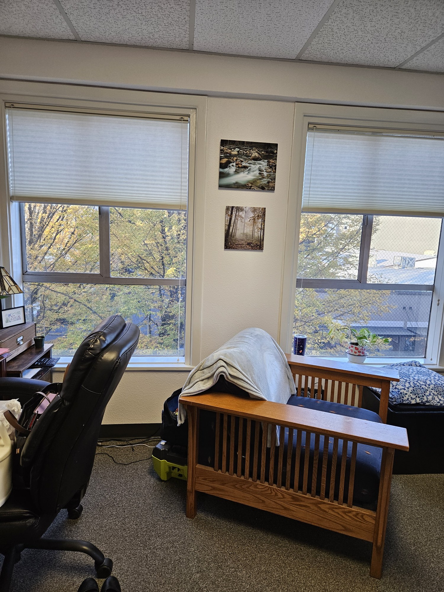 The therapy room with two windows looking out onto trees